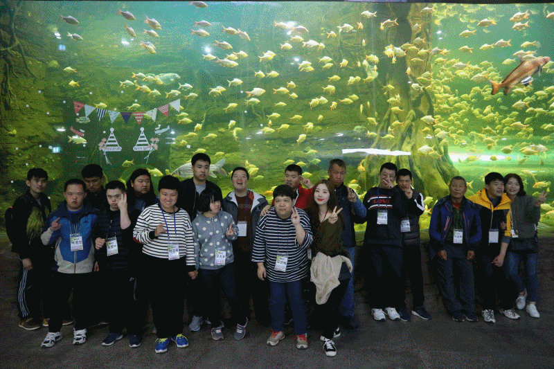 2710bcb96c12bba41940ffa44e2d28df_1540451153_2733.gif